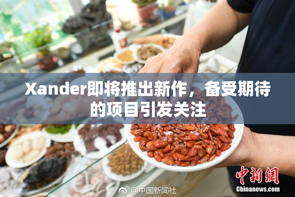 Xander即将推出新作，备受期待的项目引发关注
