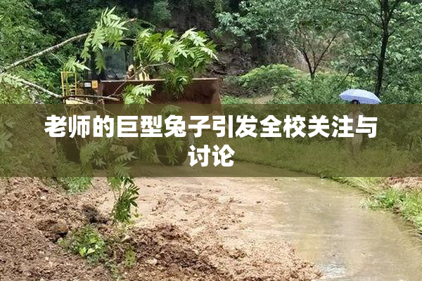 老师的巨型兔子引发全校关注与讨论
