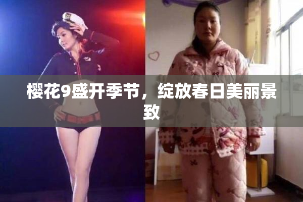 樱花9盛开季节，绽放春日美丽景致