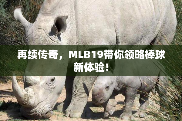 再续传奇，MLB19带你领略棒球新体验！