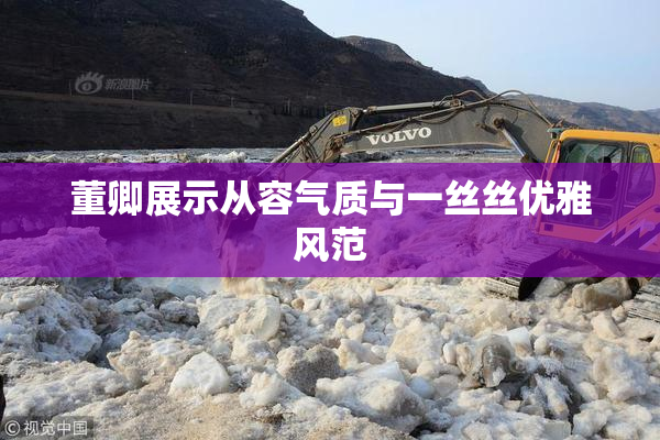董卿展示从容气质与一丝丝优雅风范