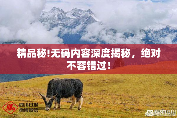精品秘!无码内容深度揭秘，绝对不容错过！