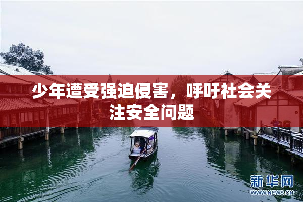 少年遭受强迫侵害，呼吁社会关注安全问题