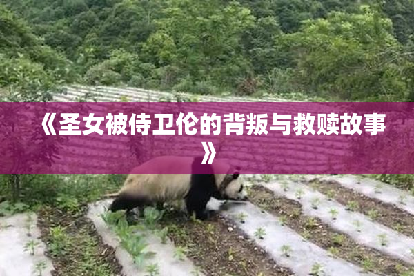 《圣女被侍卫伦的背叛与救赎故事》