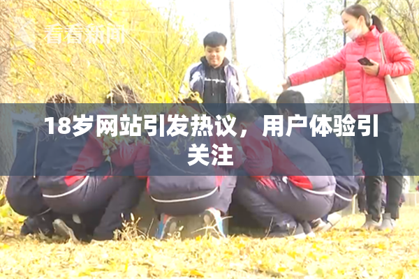 18岁网站引发热议，用户体验引关注