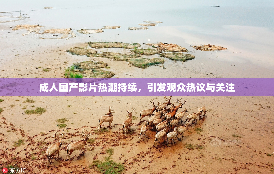 成人国产影片热潮持续，引发观众热议与关注