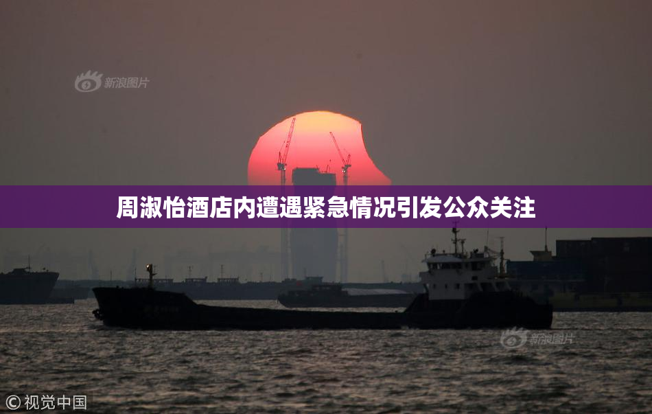 周淑怡酒店内遭遇紧急情况引发公众关注