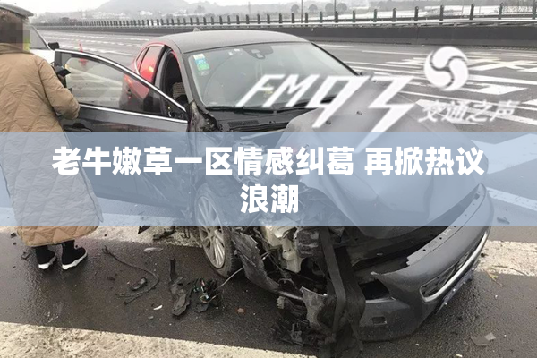 老牛嫩草一区情感纠葛 再掀热议浪潮