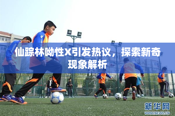 仙踪林呦性X引发热议，探索新奇现象解析