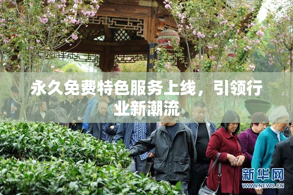 永久免费特色服务上线，引领行业新潮流