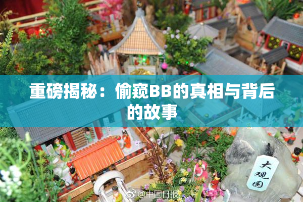 重磅揭秘：偷窥BB的真相与背后的故事
