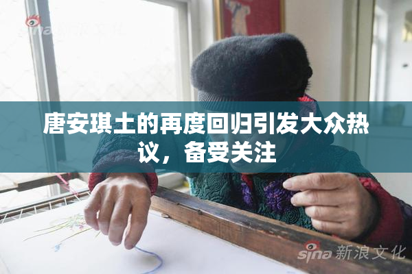 唐安琪土的再度回归引发大众热议，备受关注