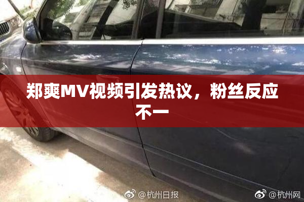 郑爽MV视频引发热议，粉丝反应不一
