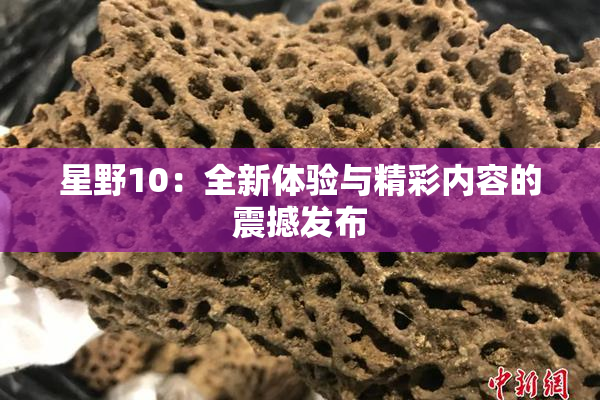 星野10：全新体验与精彩内容的震撼发布