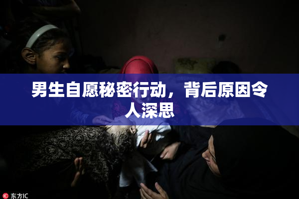 男生自愿秘密行动，背后原因令人深思