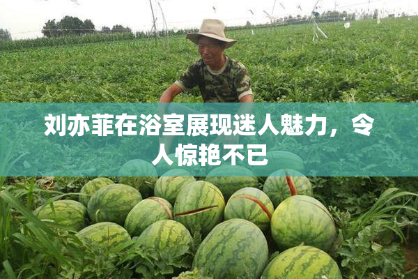 刘亦菲在浴室展现迷人魅力，令人惊艳不已