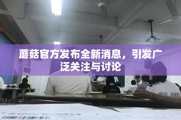 蘑菇官方发布全新消息，引发广泛关注与讨论