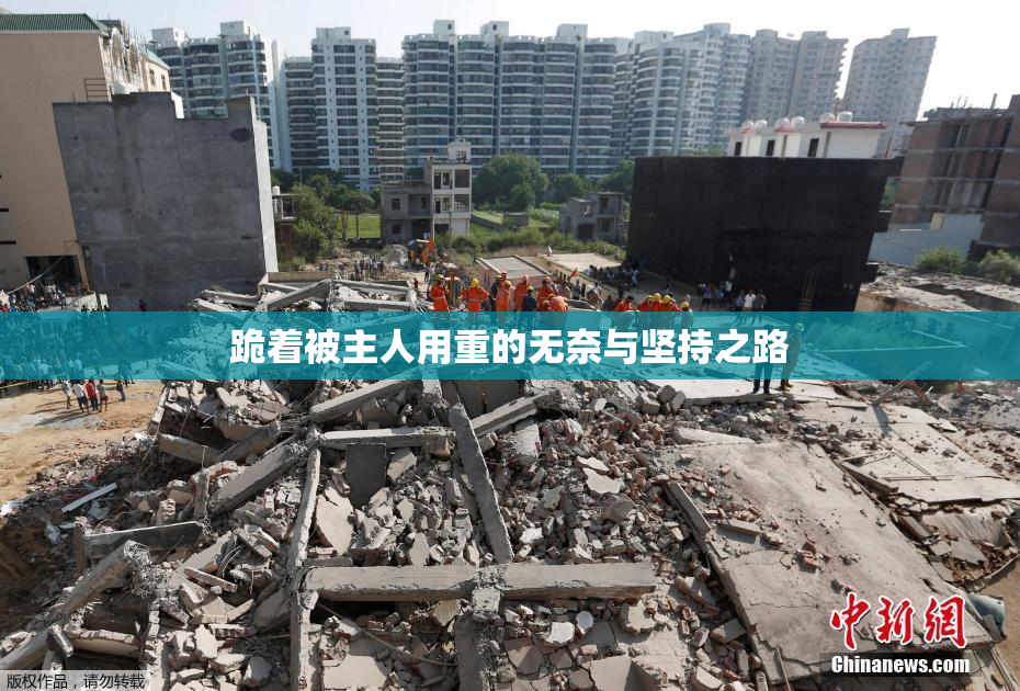 跪着被主人用重的无奈与坚持之路