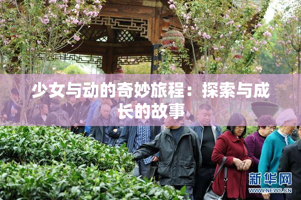 少女与动的奇妙旅程：探索与成长的故事