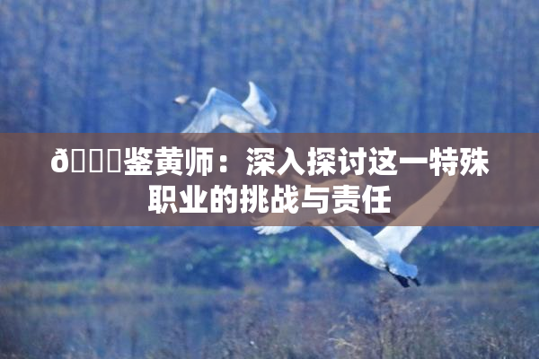🔞鉴黄师：深入探讨这一特殊职业的挑战与责任