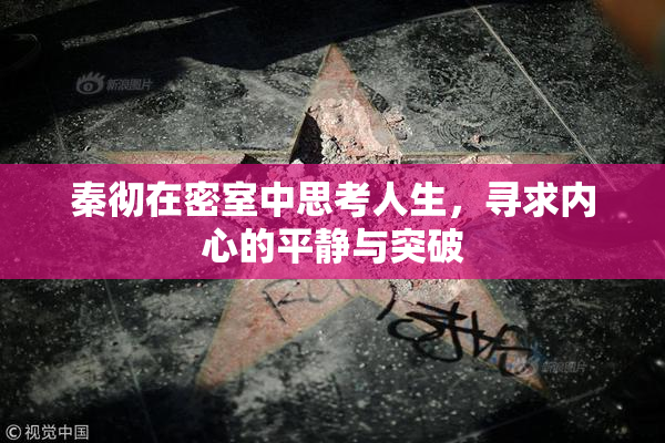 秦彻在密室中思考人生，寻求内心的平静与突破