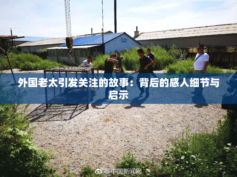 外国老太引发关注的故事：背后的感人细节与启示