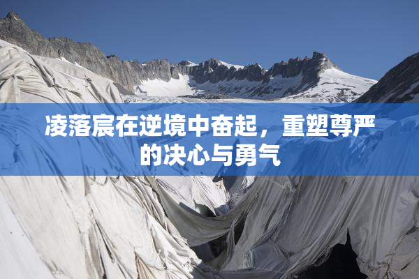 凌落宸在逆境中奋起，重塑尊严的决心与勇气
