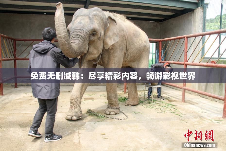 免费无删减韩：尽享精彩内容，畅游影视世界