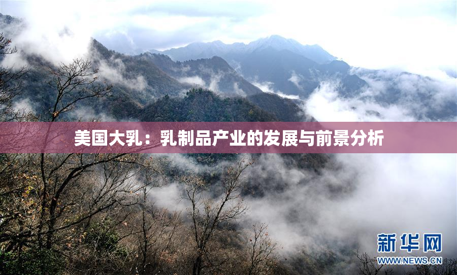 美国大乳：乳制品产业的发展与前景分析