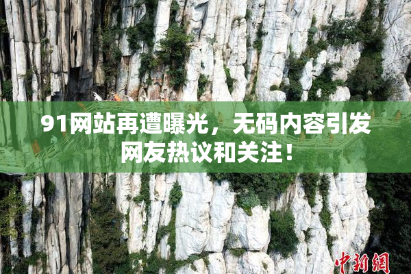 91网站再遭曝光，无码内容引发网友热议和关注！