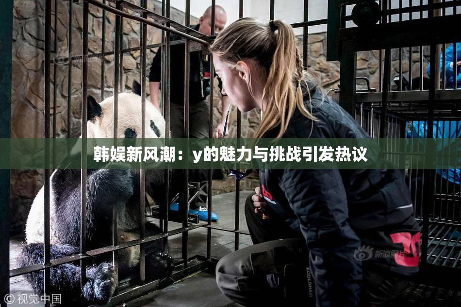 韩娱新风潮：y的魅力与挑战引发热议