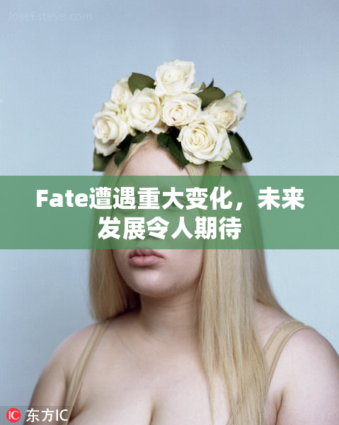 Fate遭遇重大变化，未来发展令人期待