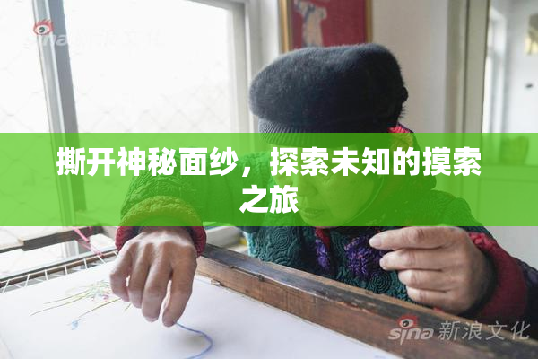 撕开神秘面纱，探索未知的摸索之旅