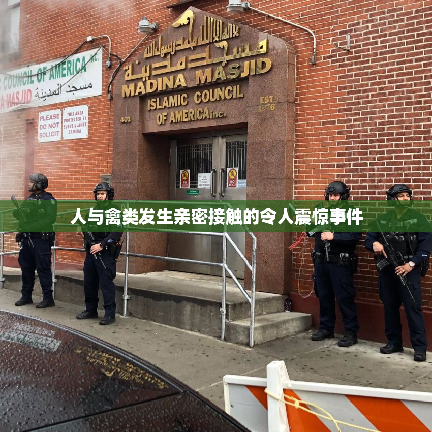 人与禽类发生亲密接触的令人震惊事件