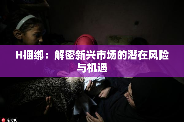 H捆绑：解密新兴市场的潜在风险与机遇
