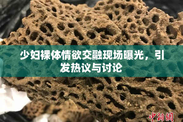 少妇裸体情欲交融现场曝光，引发热议与讨论