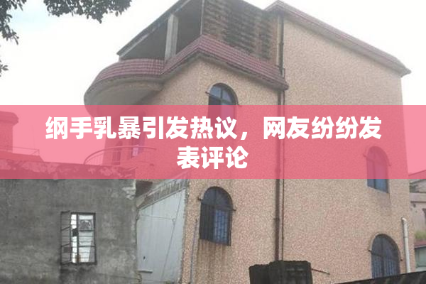纲手乳暴引发热议，网友纷纷发表评论