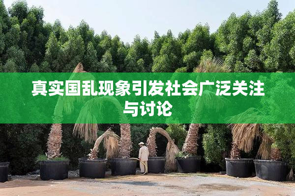 真实国乱现象引发社会广泛关注与讨论