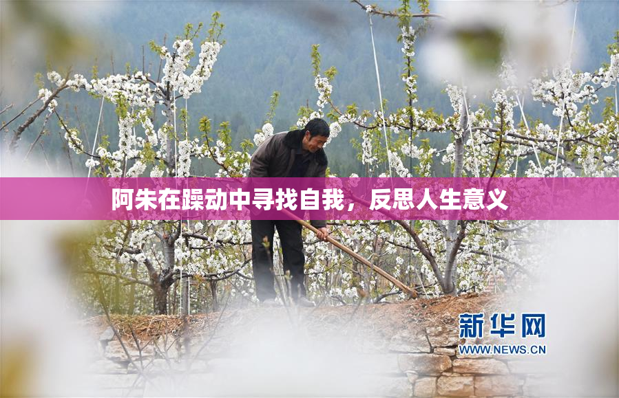 阿朱在躁动中寻找自我，反思人生意义