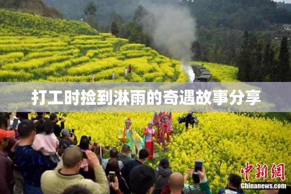 打工时捡到淋雨的奇遇故事分享
