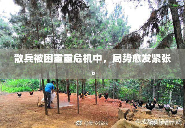 散兵被困重重危机中，局势愈发紧张。