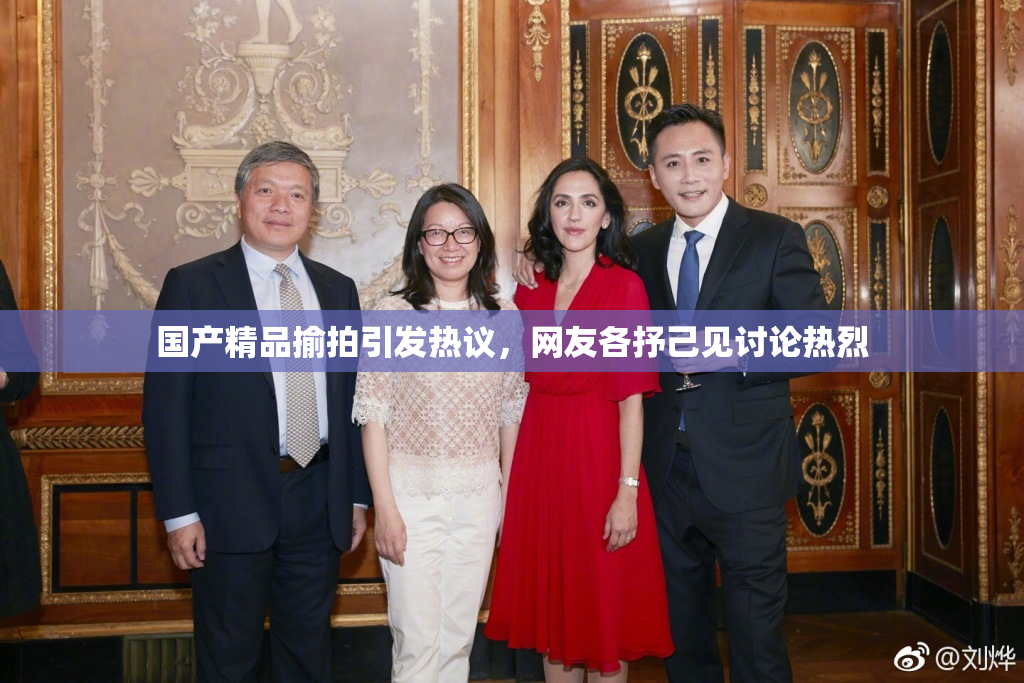 国产精品揄拍引发热议，网友各抒己见讨论热烈