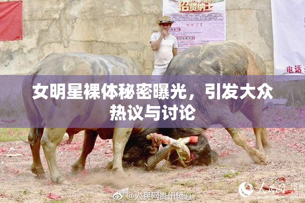 女明星裸体秘密曝光，引发大众热议与讨论