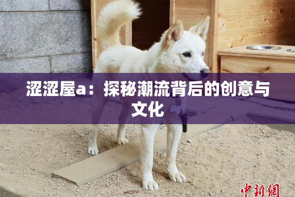 涩涩屋a：探秘潮流背后的创意与文化