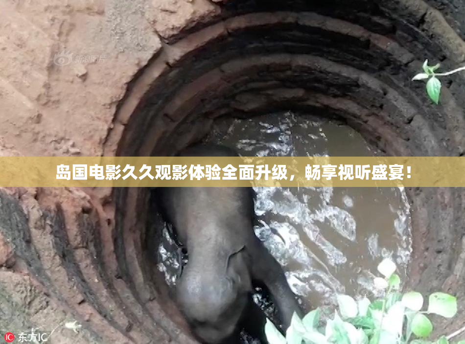 岛国电影久久观影体验全面升级，畅享视听盛宴！