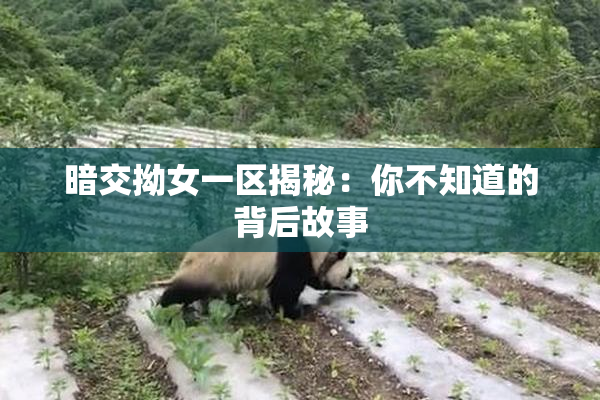 暗交拗女一区揭秘：你不知道的背后故事
