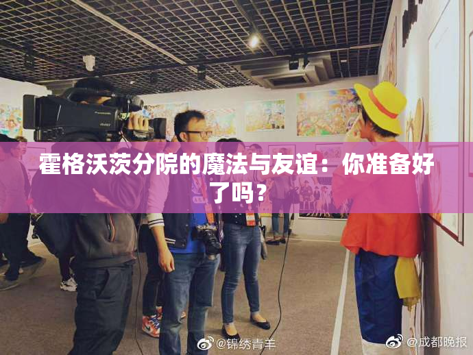 霍格沃茨分院的魔法与友谊：你准备好了吗？