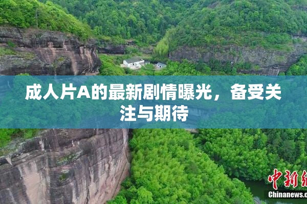 成人片A的最新剧情曝光，备受关注与期待