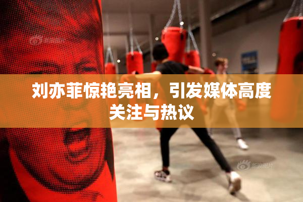 刘亦菲惊艳亮相，引发媒体高度关注与热议