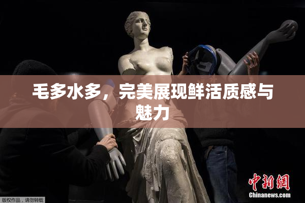毛多水多，完美展现鲜活质感与魅力